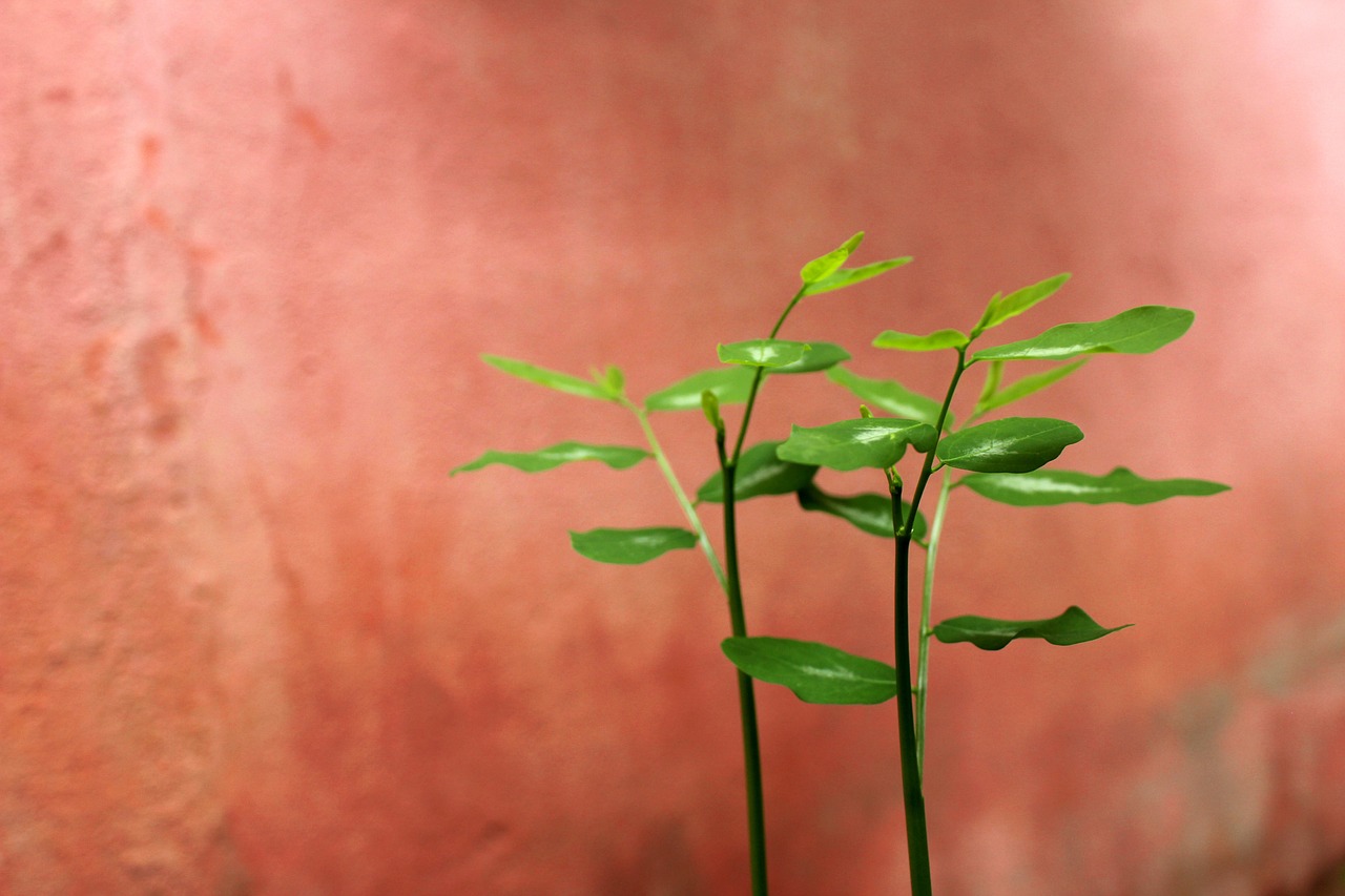 活ガニを楽しめるすき鍋が味わえる温泉宿で貸切風呂付きのおすすめは？