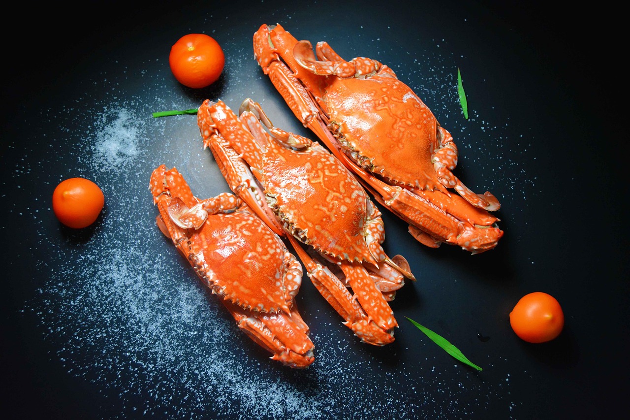 活ガニとかにすき鍋が楽しめる温泉旅館の蟹一杯付きプランは？