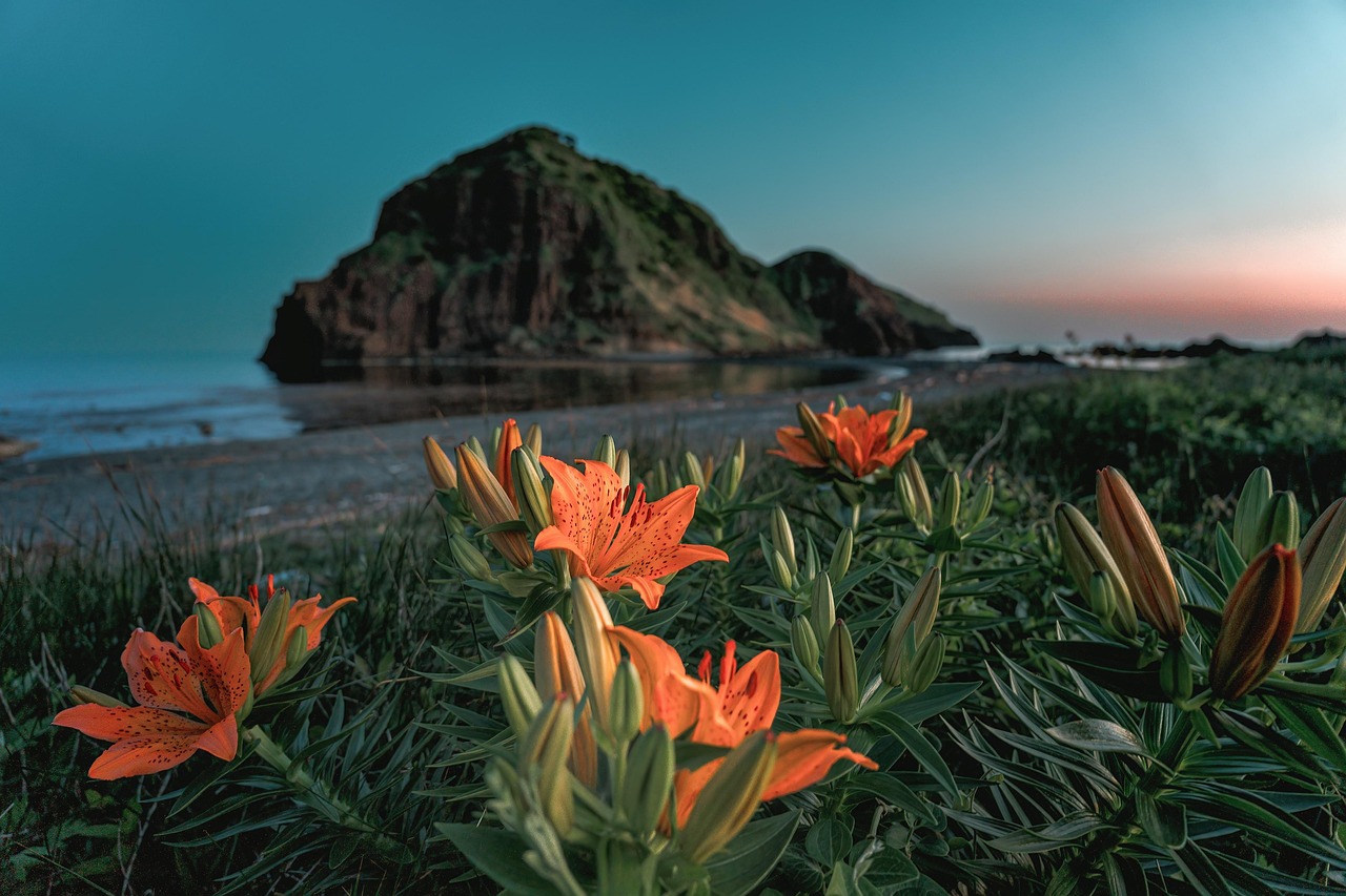 活ガニとかにすき鍋を楽しめる温泉旅館で日本海の眺望が最高な場所は？