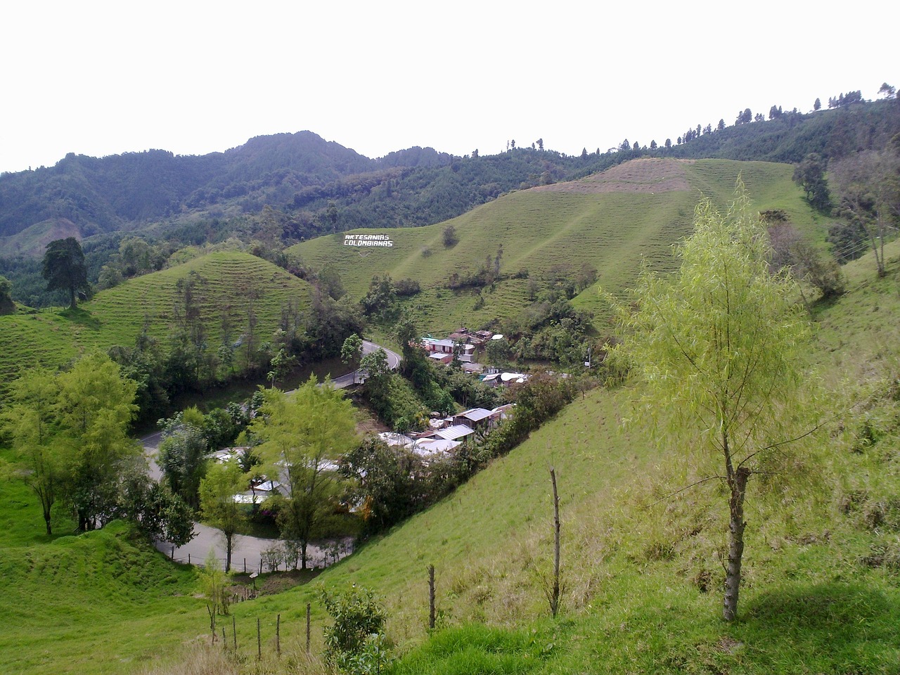 活ガニを楽しめる防音しっかりの温泉旅館でかにすき鍋を味わうには？
