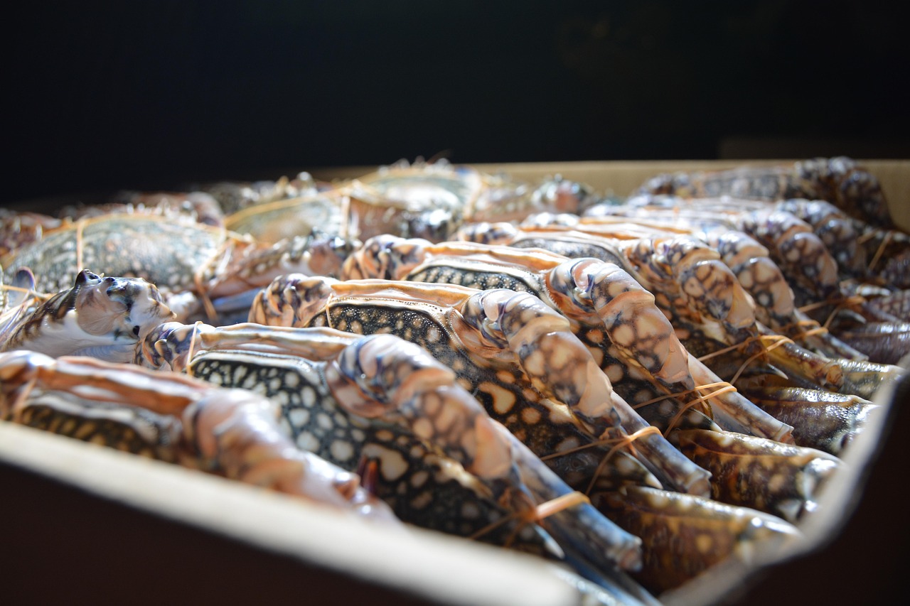 活ガニとかにすき鍋を楽しむための温泉旅館での冷凍蟹回避方法は？