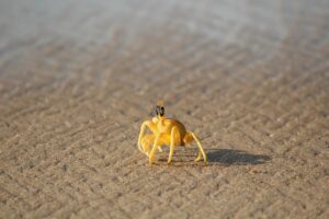 城崎温泉で活ガニとかにすき鍋を部屋食できる宿はどこ？